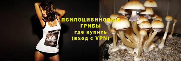 apvp Горняк