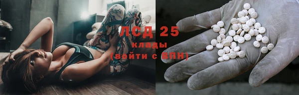 тгк Вяземский