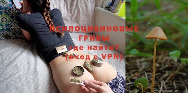 бошки Горнозаводск
