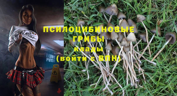 тгк Вяземский