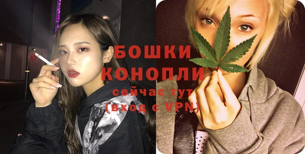 тгк Вяземский