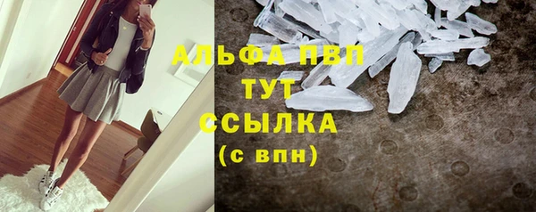 тгк Вяземский