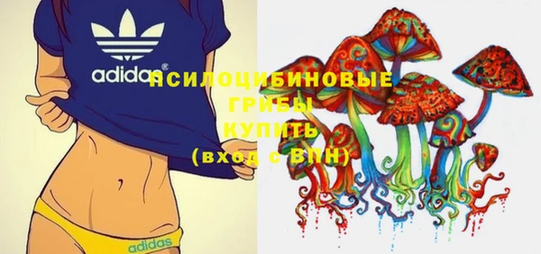 тгк Вяземский
