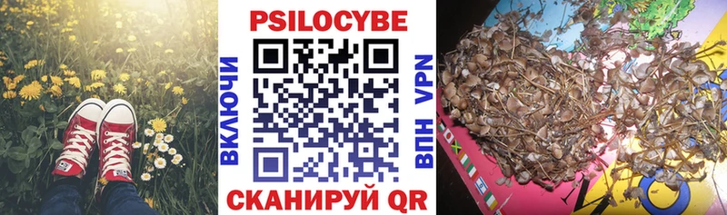 Псилоцибиновые грибы GOLDEN TEACHER  KRAKEN как войти  Радужный 